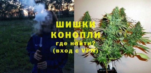 трава Арсеньев
