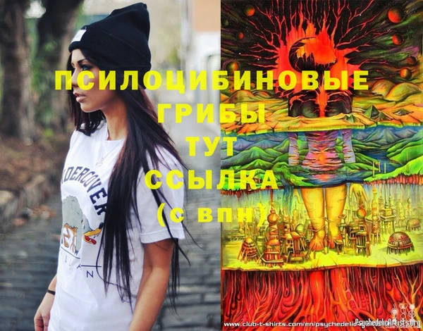 трава Арсеньев