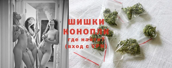 трава Арсеньев
