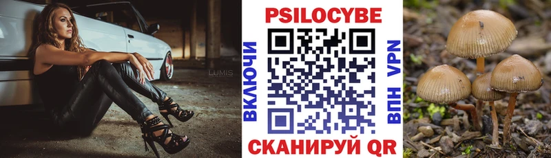 Псилоцибиновые грибы Psilocybine cubensis  купить   Приозерск 