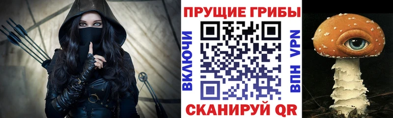 Галлюциногенные грибы Psilocybine cubensis Приозерск